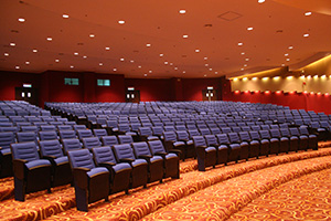 Malaysian Airlines auditorium is dimmed using Futronix Lighting Controls